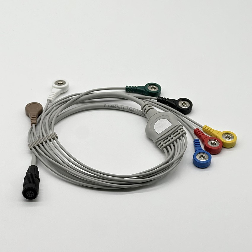 20250211101216 20250211101216