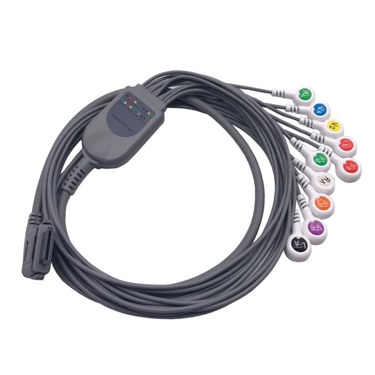Le câble Holter ECG 10 broches s'enclenche CEI pour Biolight